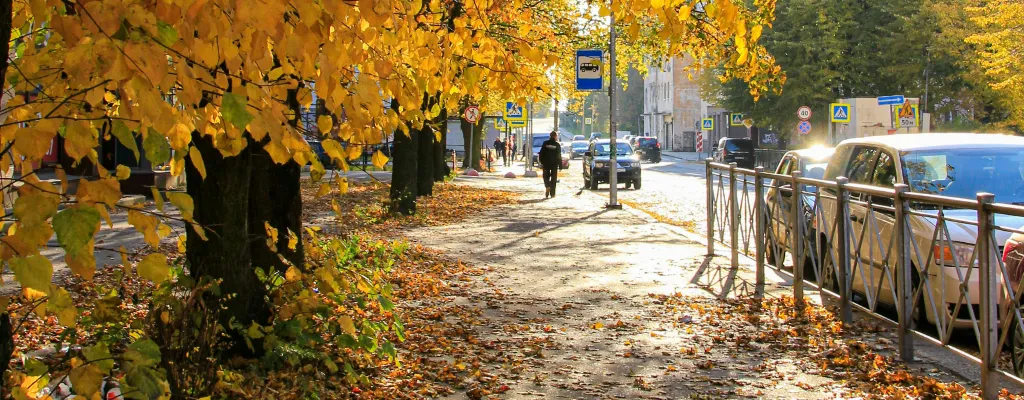 Jesień, liście na chodniku